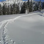 Alpenappartement Kleiner Lägenhet *