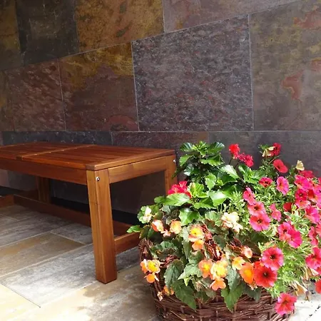 Lejlighed Alpenappartement Kleiner Tannheim