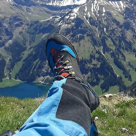 Alpenappartement Kleiner Lejlighed *