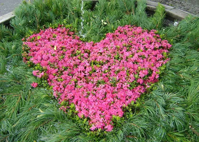 Alpenappartement Kleiner Appartement *