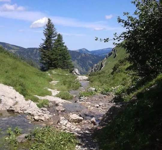 Appartement Alpenappartement Kleiner Tannheim