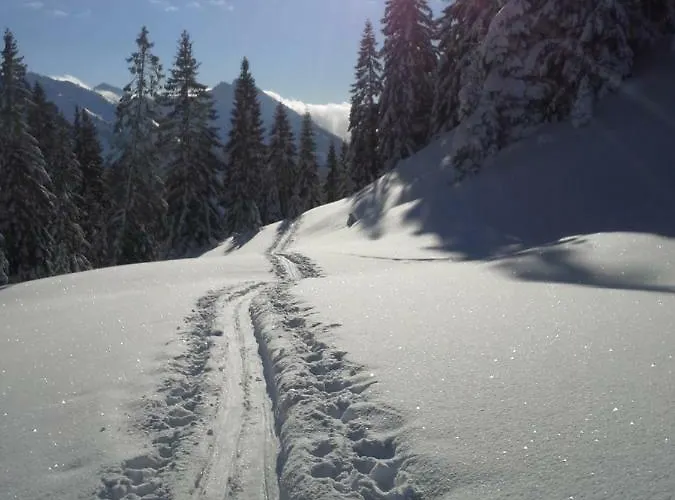 Alpenappartement Kleiner * Tannheim