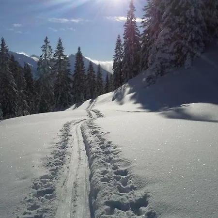 Alpenappartement Kleiner * Tannheim