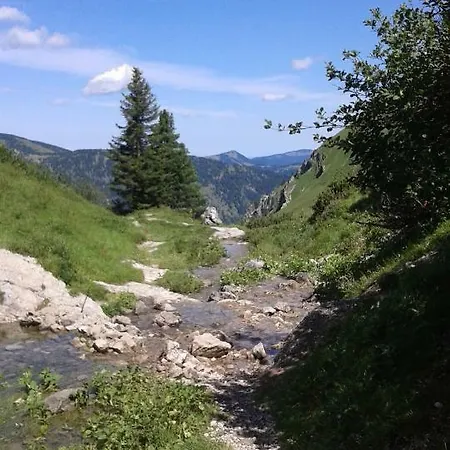 Apartman Alpenappartement Kleiner Tannheim